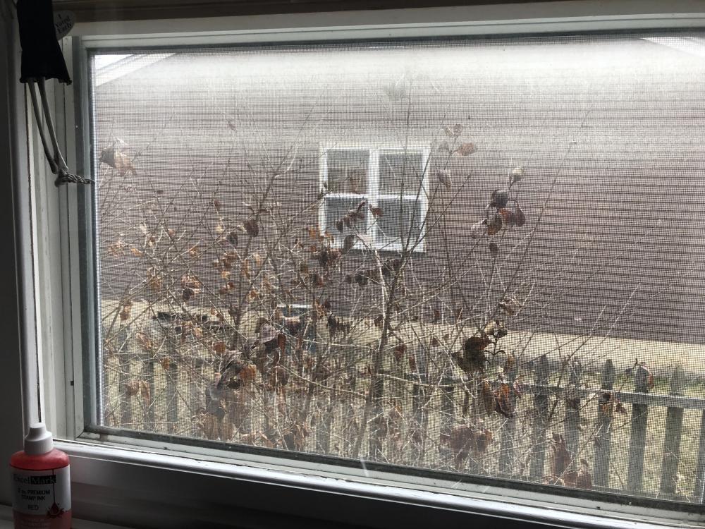 I hate looking out this window