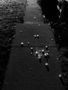Icecubes black and white 5
