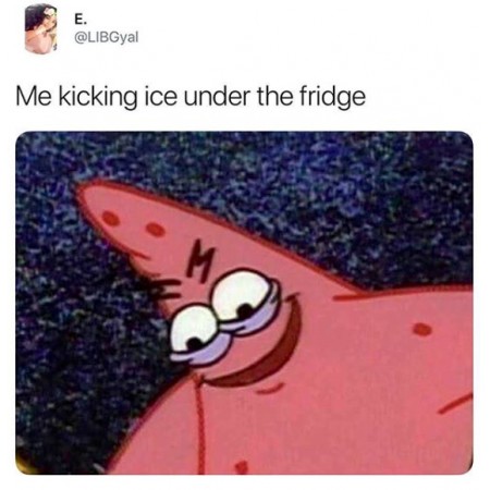 Me kicking ice under the fridge
