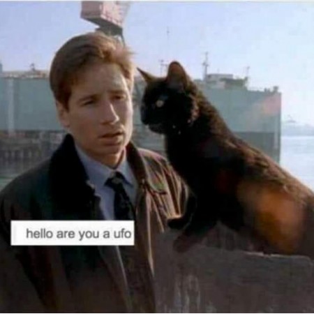 hello are you a ufo