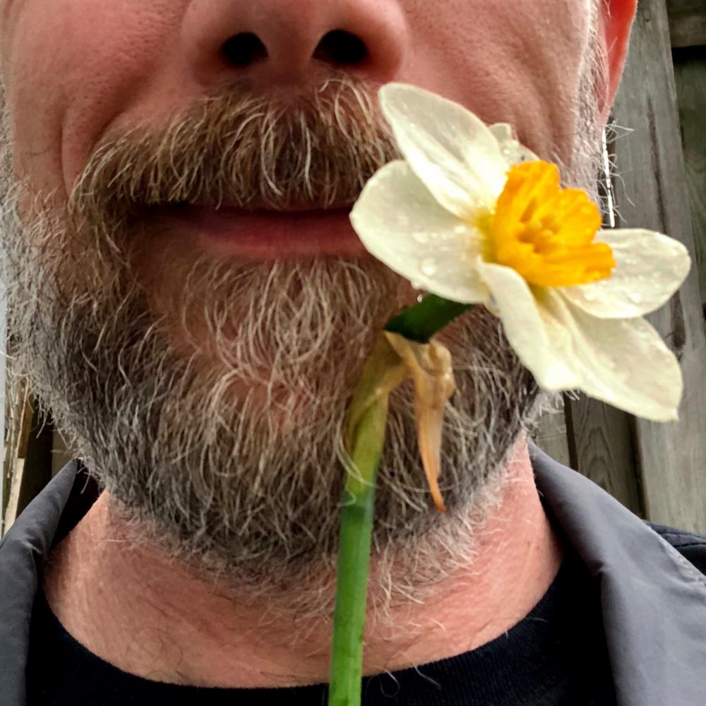 Daffodil selfie 2