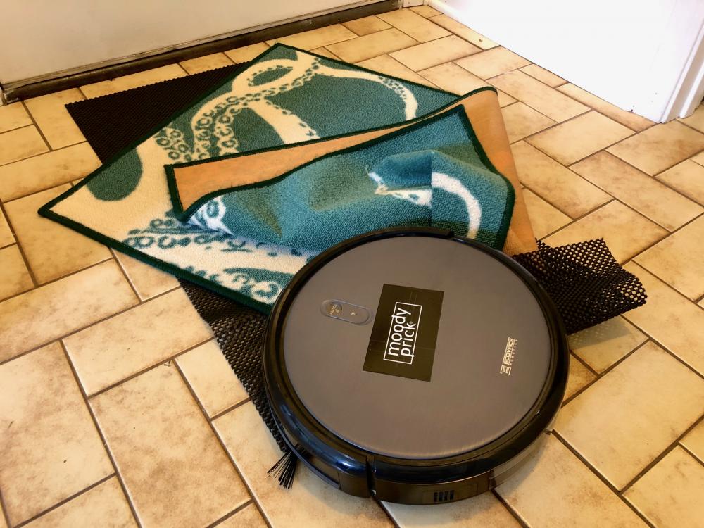 Robot vacuum eating the rug