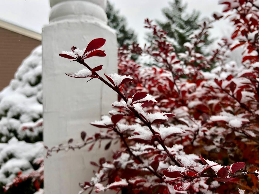 First snow - Fall 2018 - 1