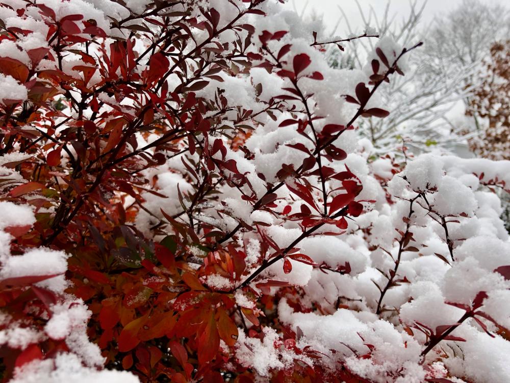 First snow - Fall 2018 - 2