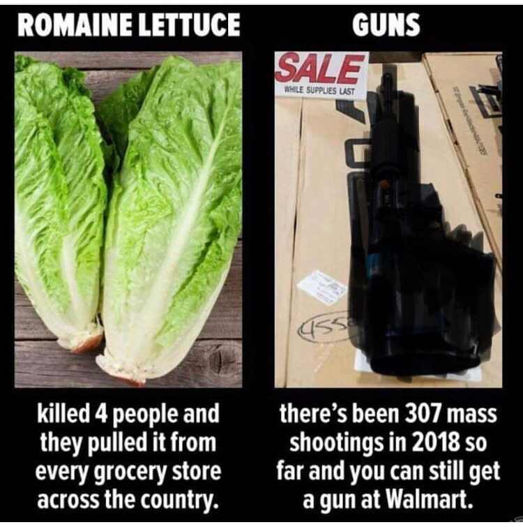 Romaine Lettuce vs Guns