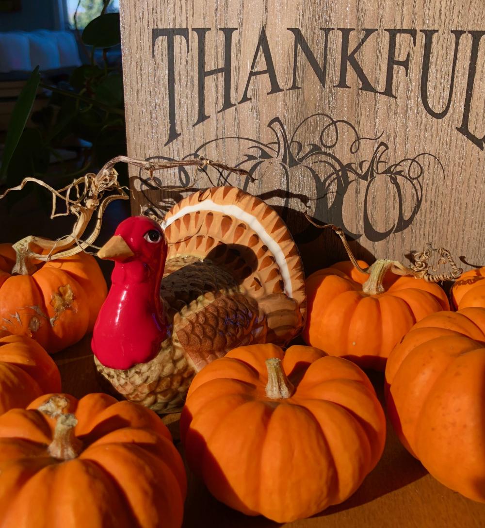 Thankful turkey with pumpkins