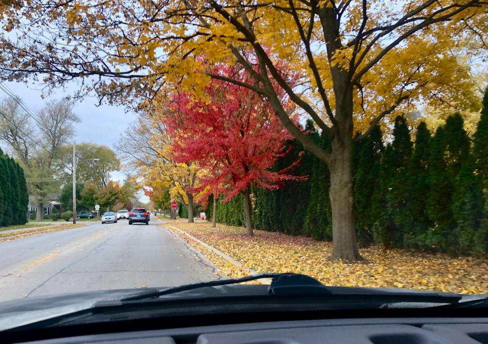 Fall driving