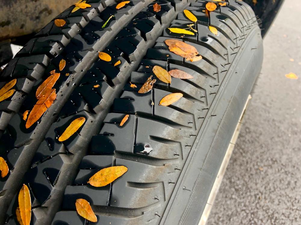 Leaves on tire