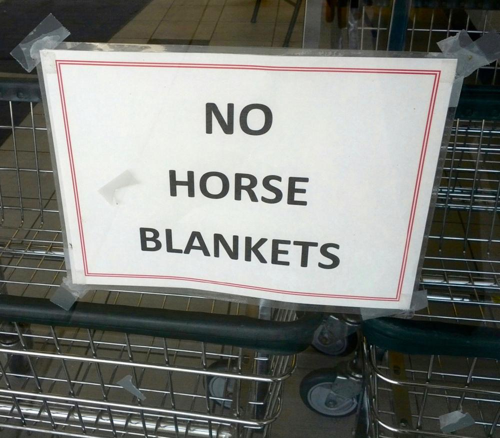 20190410 - No horse blankets