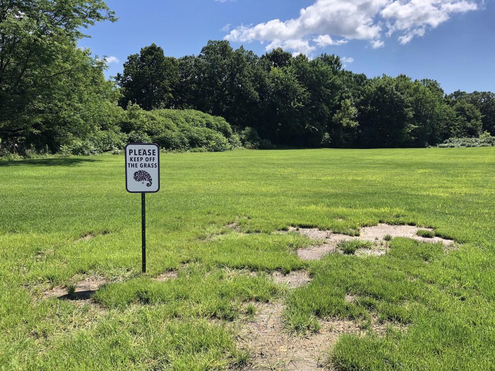 Paisley Park keep off the grass