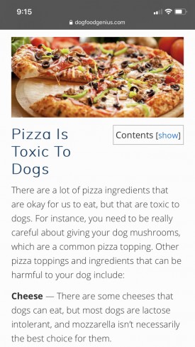 Pizza Is Toxic To Dogs