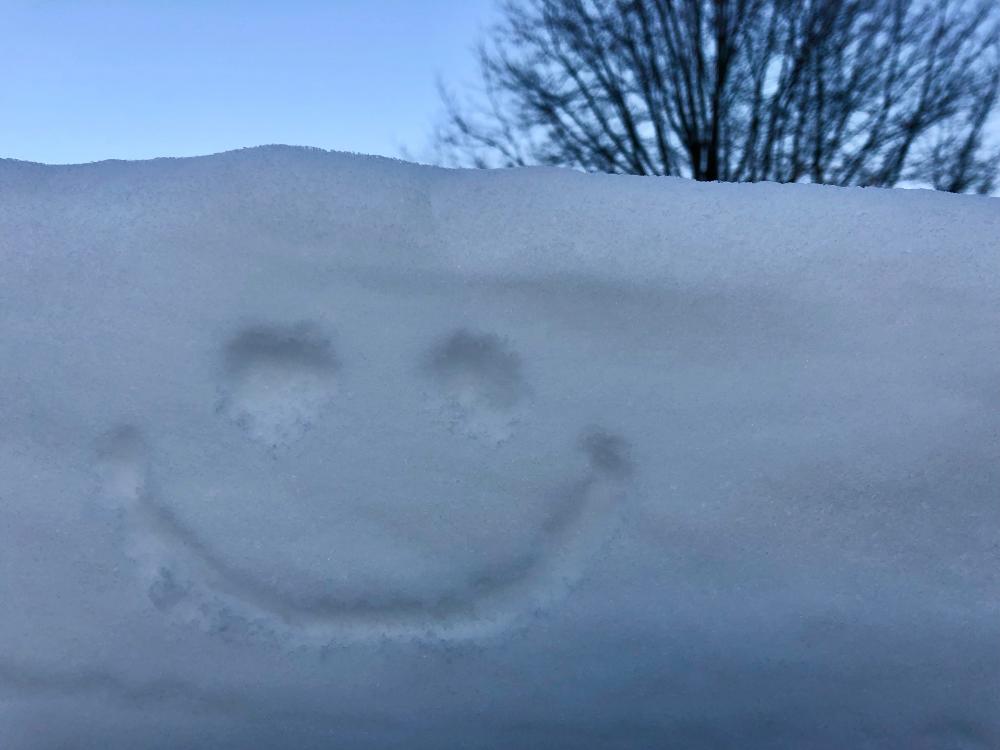 Smiley in the snowdrift