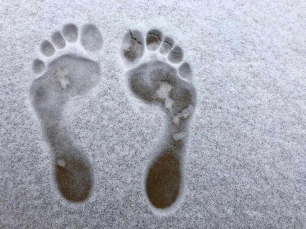 Snow day foot prints