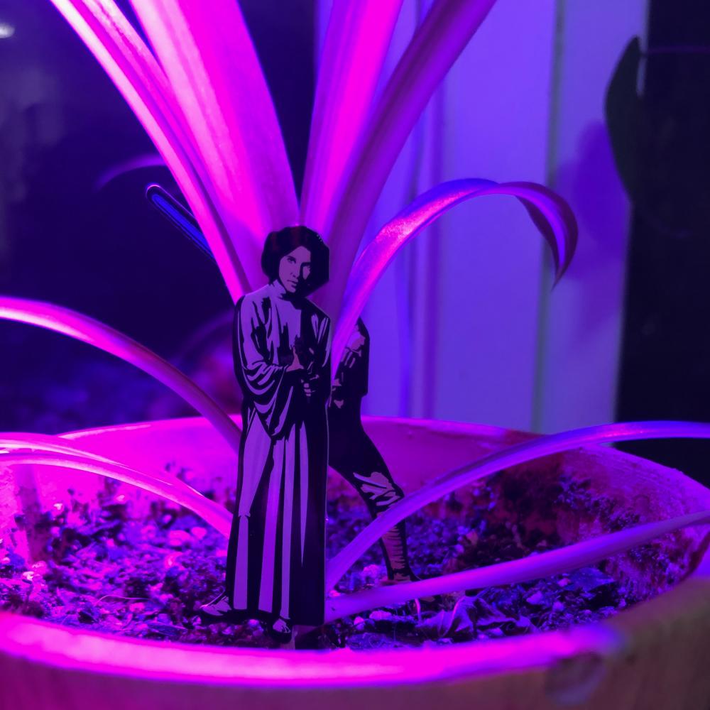 Star Wars plant stakes 2