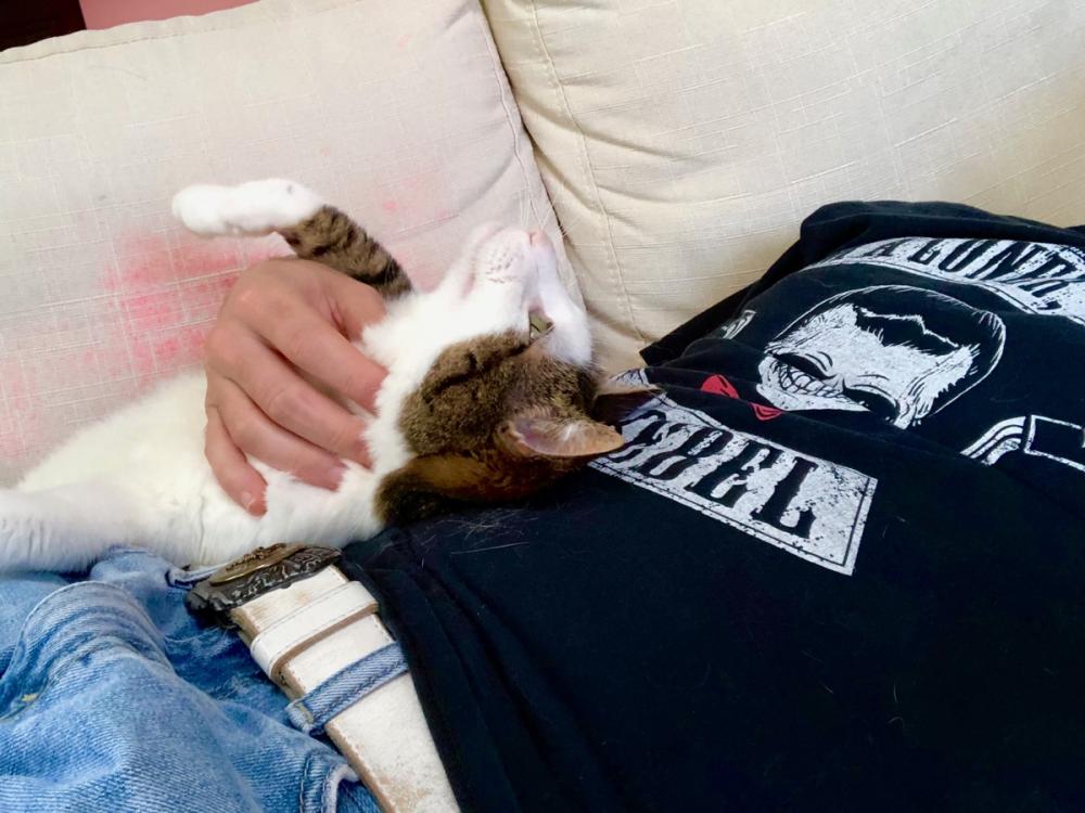 Pearl chilling on her back 1