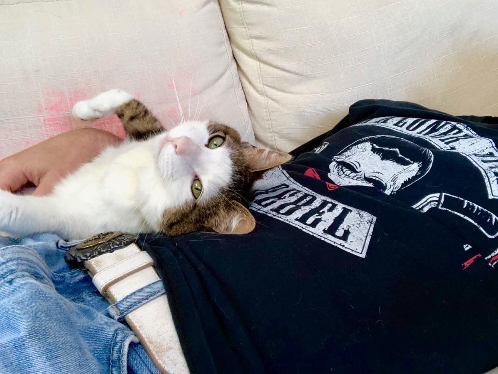 Pearl chilling on her back 2
