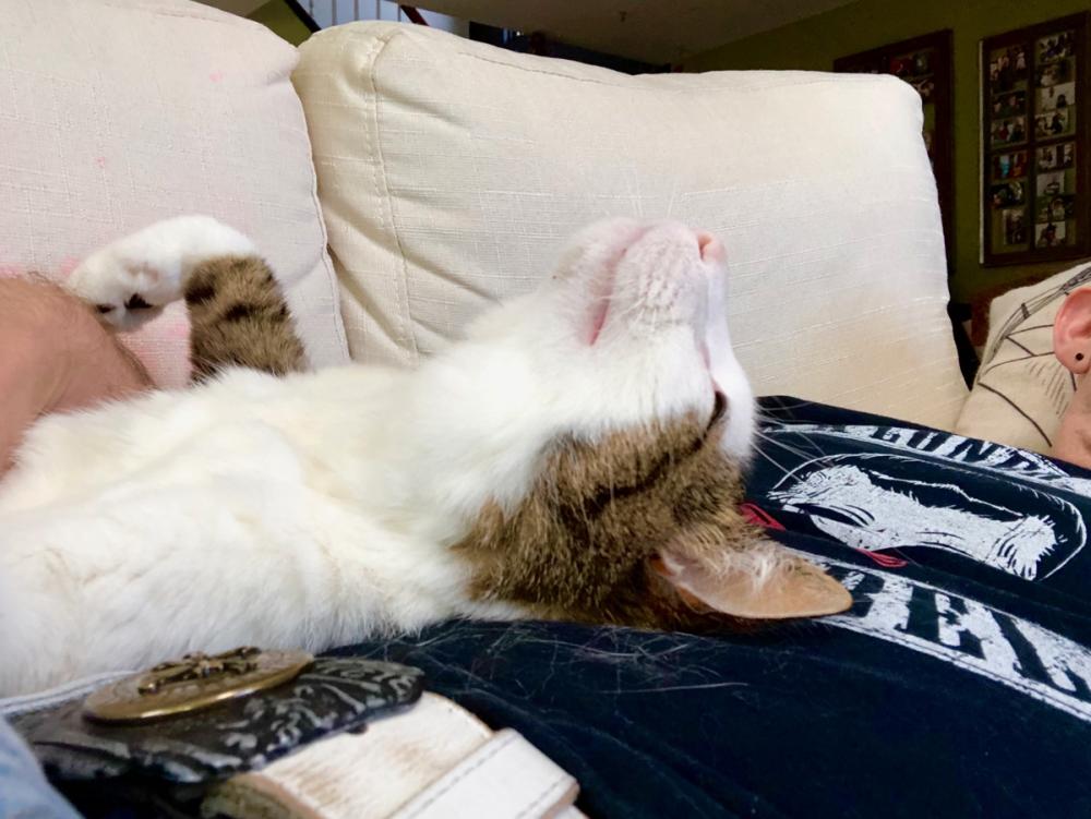 Pearl chilling on her back 3