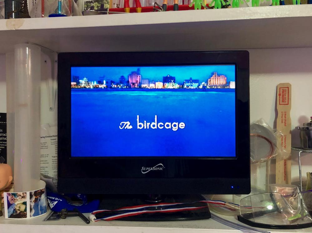 The Birdcage on the TV