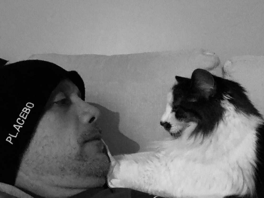 Cat likes to be this close 2
