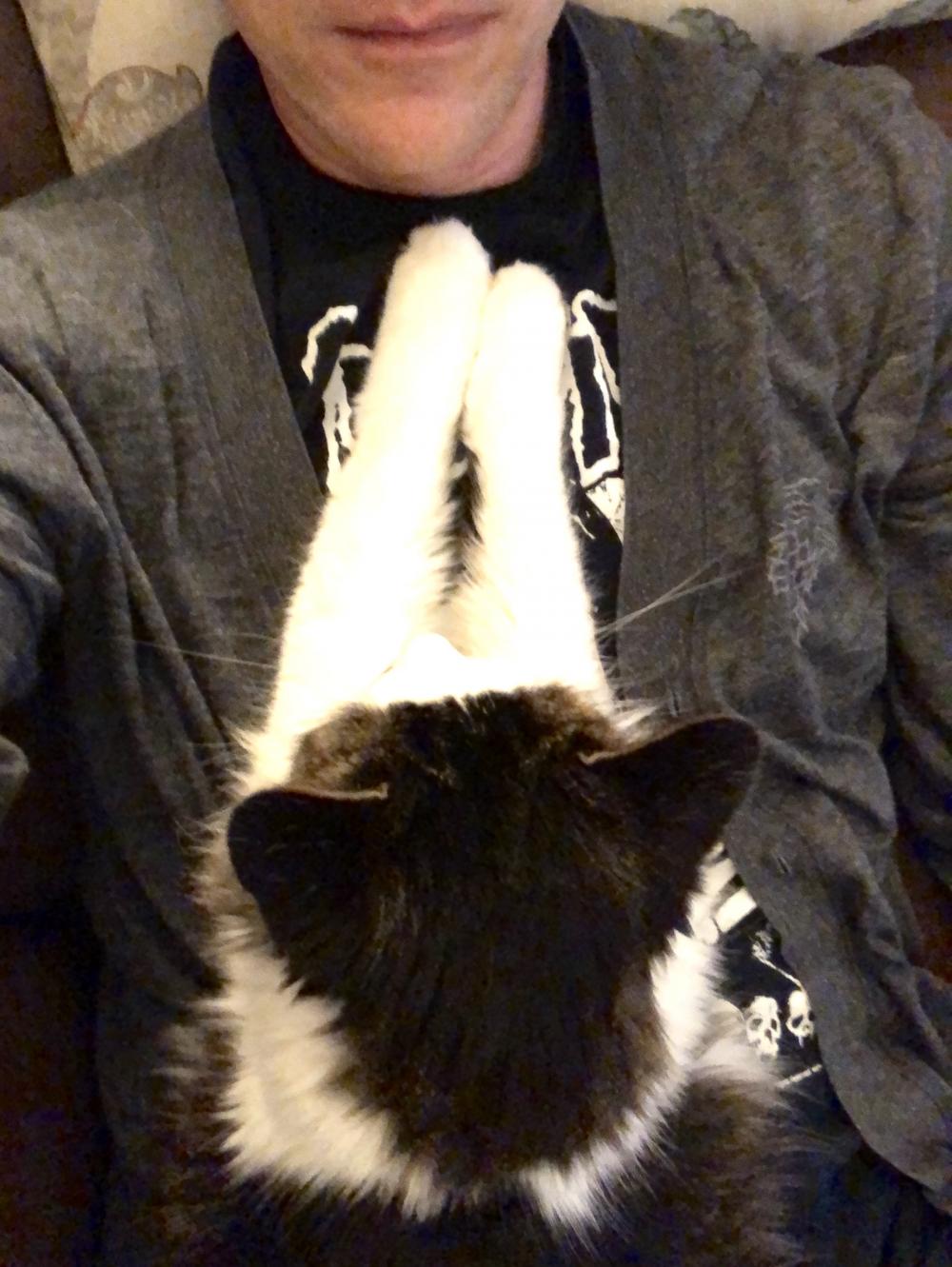 Thursday evening cat nap 1