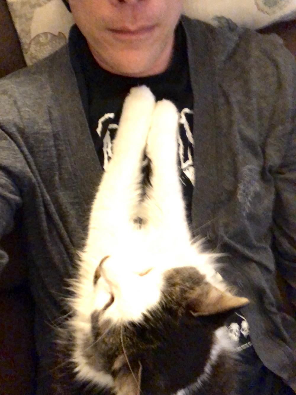 Thursday evening cat nap 2