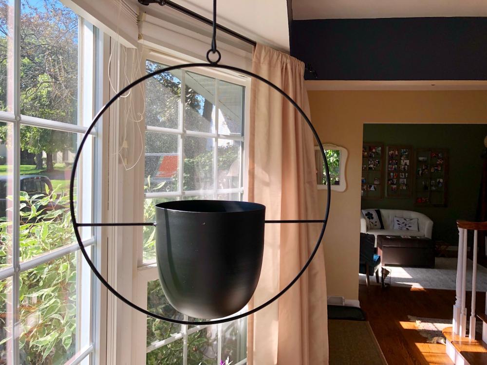 New planter for Moses