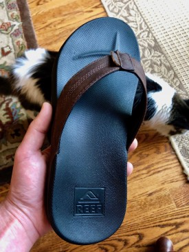 REEF sandal with cat