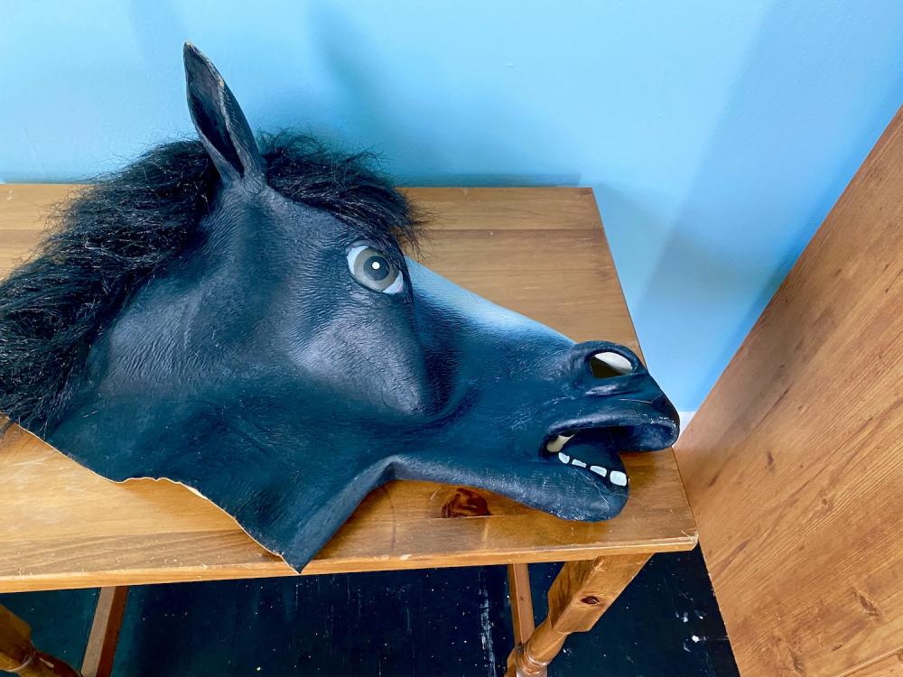 Rubber Horse Mask