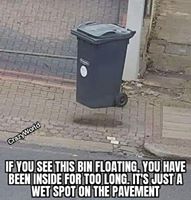 if you see this bin floating
