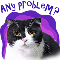 Any problem cat