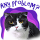 any problem cat
