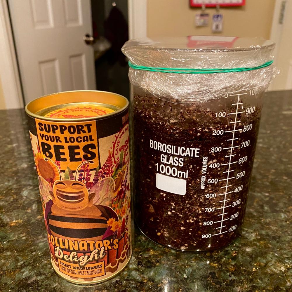 Time to grow some wildflowers