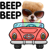 Boo and Buddy Boo driving a car