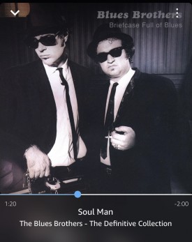 Blues Brother Soul Man now play
