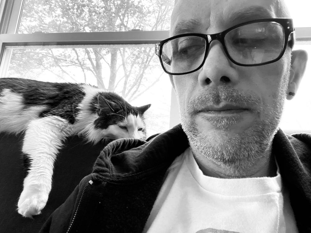 Cat relaxing, me working