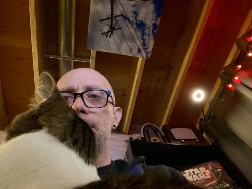 Working from home with cats 1