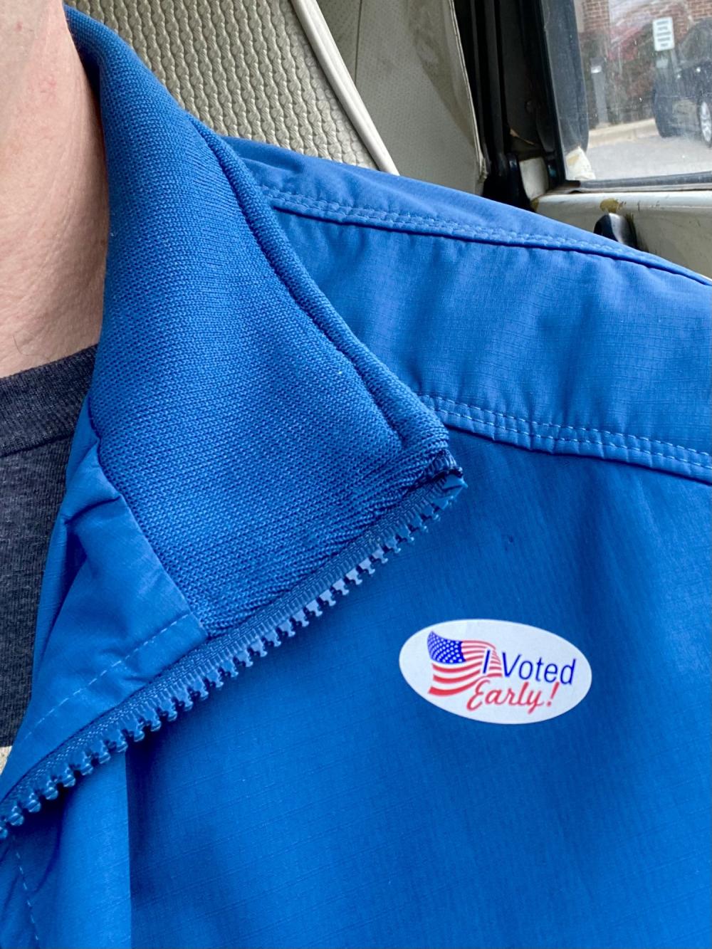 I Voted Early in 2020