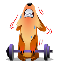 dog with a dumbbell