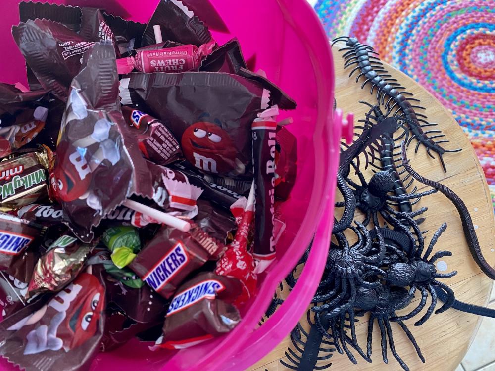 creepy crawlers with the candy 1