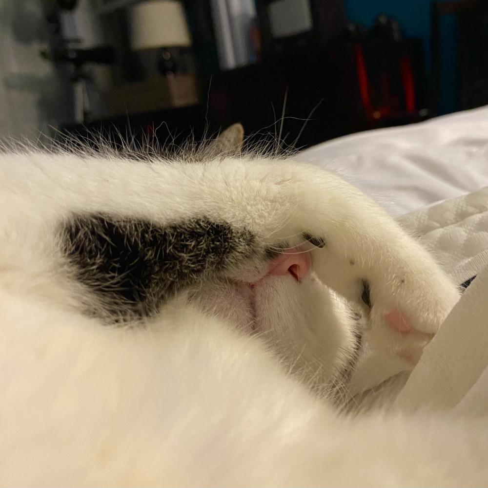 Pearl it's time to get up